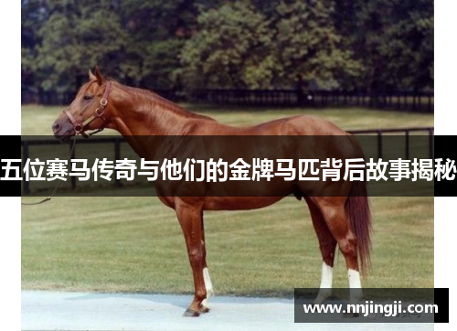 五位赛马传奇与他们的金牌马匹背后故事揭秘