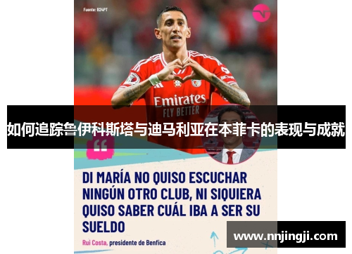 如何追踪鲁伊科斯塔与迪马利亚在本菲卡的表现与成就